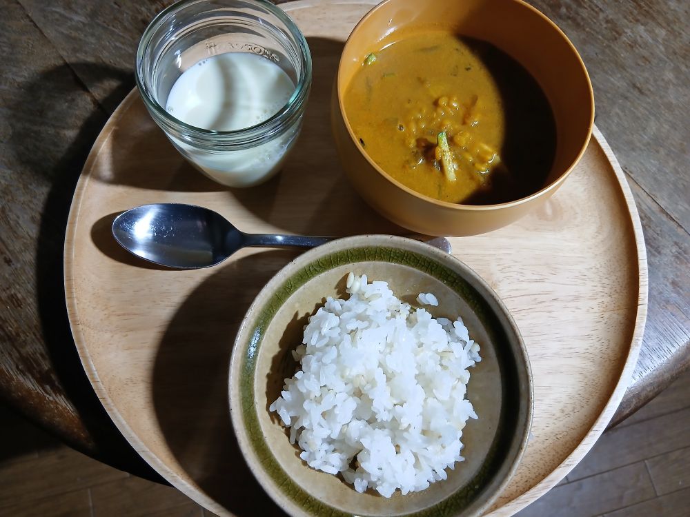豆乳、スパイスカレー、ごはん。