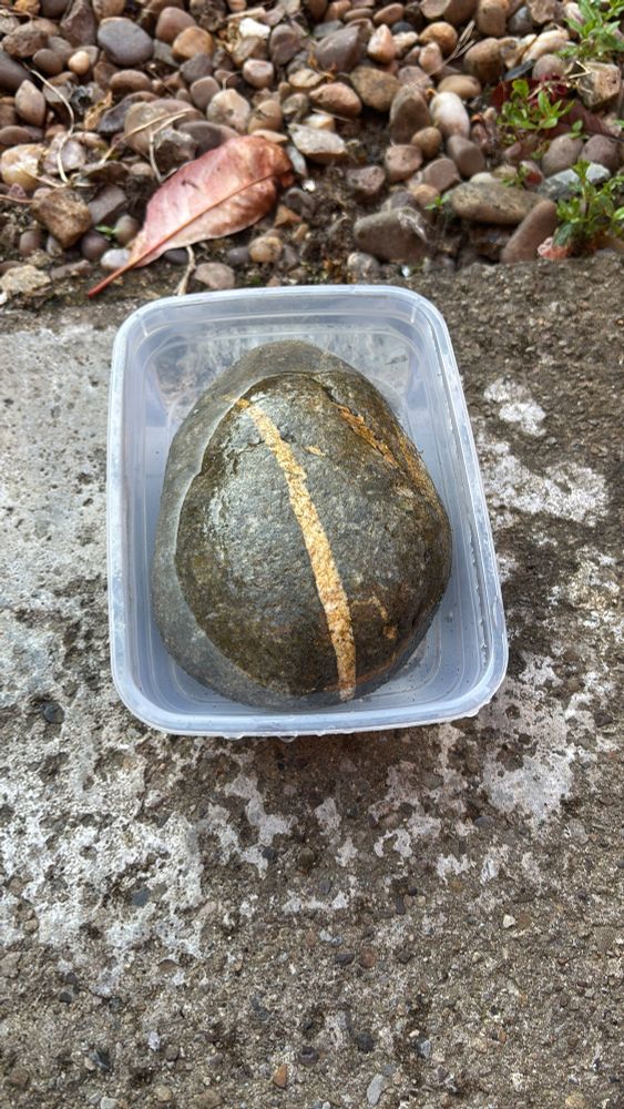 Fast food serving tray cleaned out and filled with water with three sugar cubes dissolved in it. There’s a pretty stone - white line breaking up the darker stone - for the bees and butterflies to stand on. 