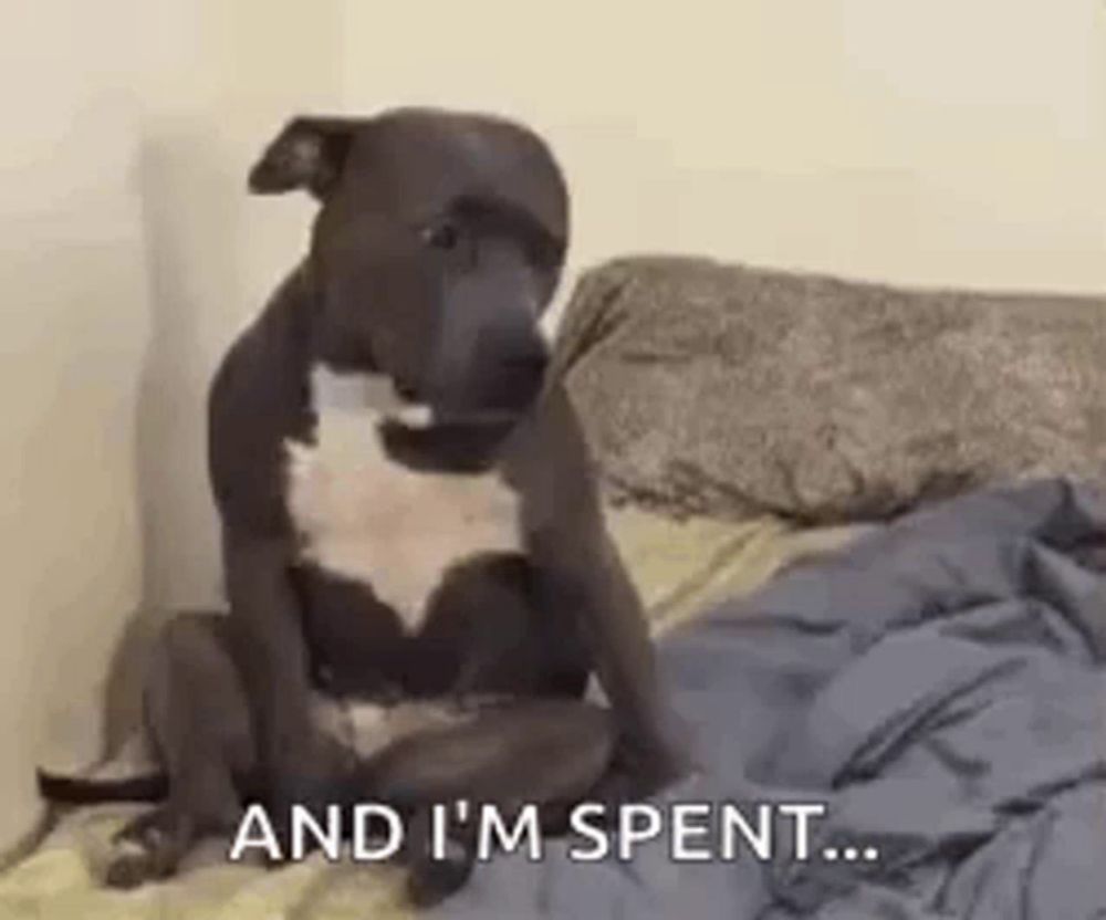 a dog is sitting on a bed with a blanket and says `` and i 'm spent ... '' .