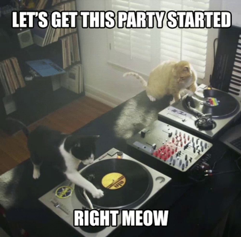 a cat playing a record with the words let 's get this party started right meow on the bottom