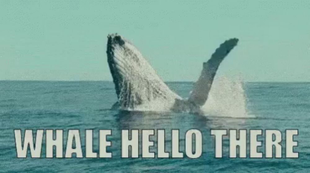 a humpback whale is jumping out of the water with the words whale hello there written below it .