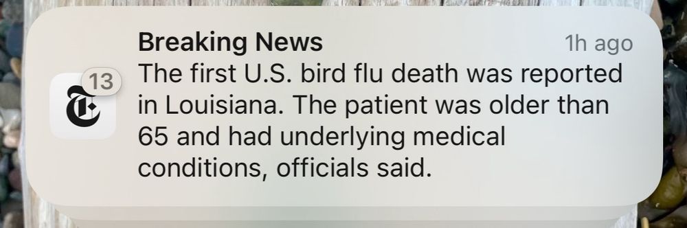 Screen shot of a news alert from NYT reads: “The first US bird flu death was reported in Louisiana. The patient was older than 65 and had underlying medical conditions, officials said.” 