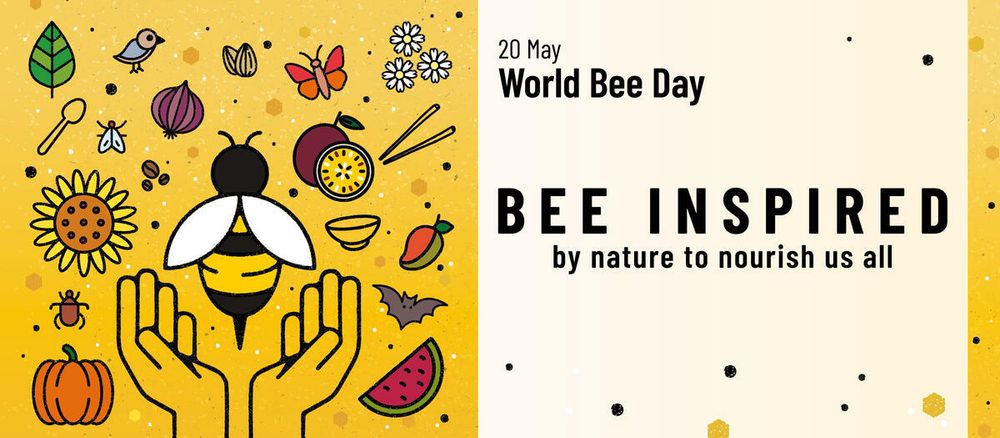 A colorful graphic promoting World Bee Day. On the left side, a large illustrated bee is centered above two open hands surrounded by various nature and food icons like a leaf, butterfly, bird, onion, pumpkin, passionfruit, watermelon, flowers, and a bat. The background is yellow with honeycomb patterns and black dots. On the right side, the text reads: “20 May World Bee Day” and “BEE INSPIRED by nature to nourish us all” on a light background.