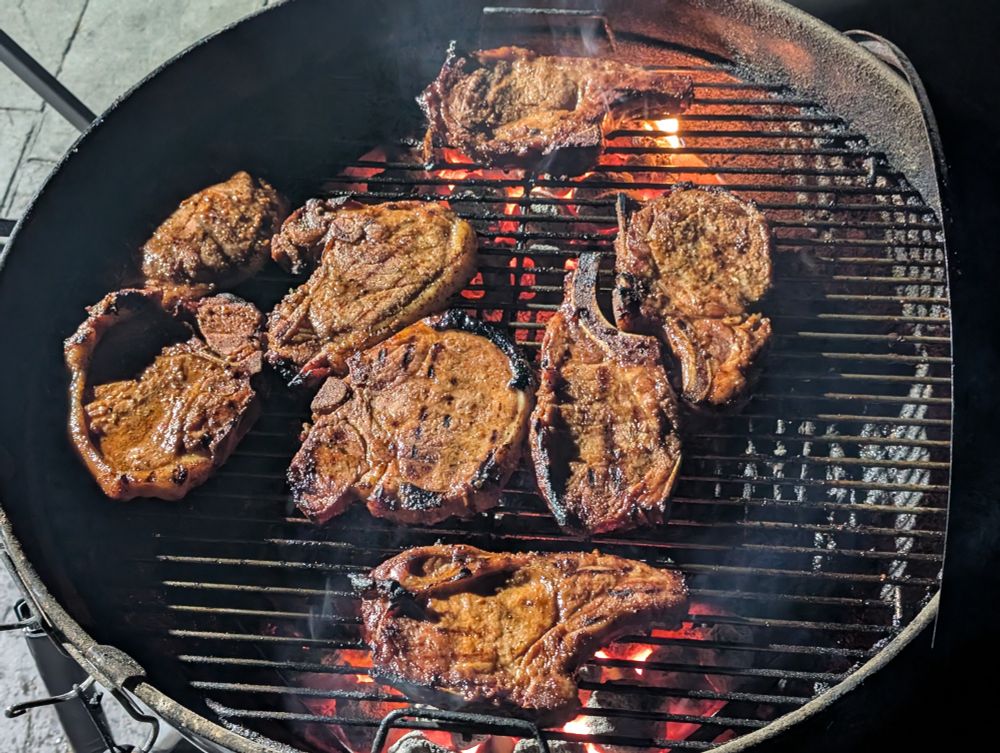 Nighttime photo of eight hickory grilled pork chops over hickory coals on the Weber kettle grill.