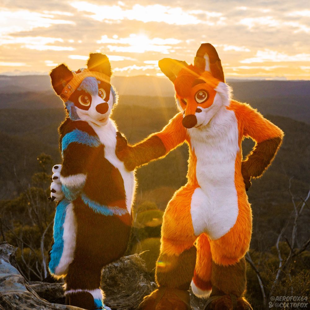 Shadow having his belly rubber by colto with the sunset in the background
