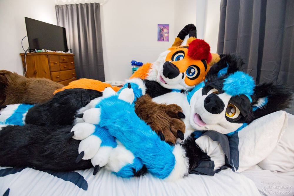 A blue, black and white dog fursuit cuddling a tall orange fox fursuit.