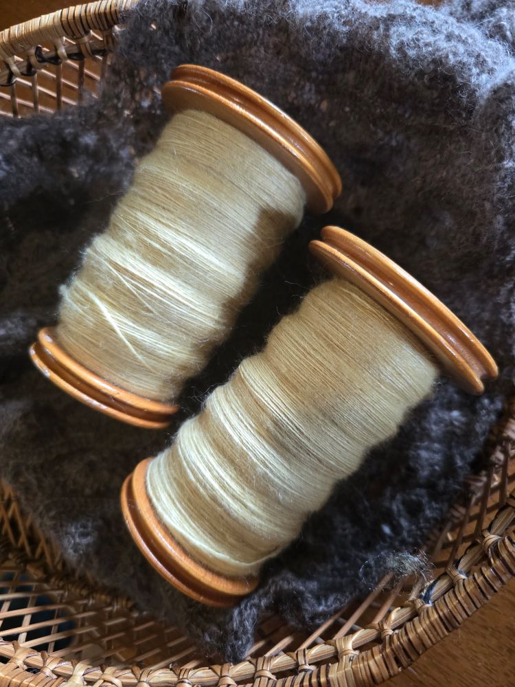 Two bobbins with singles of yarn spun on them. Bobbins are made of wood and in a basket with a knit piece draped over it