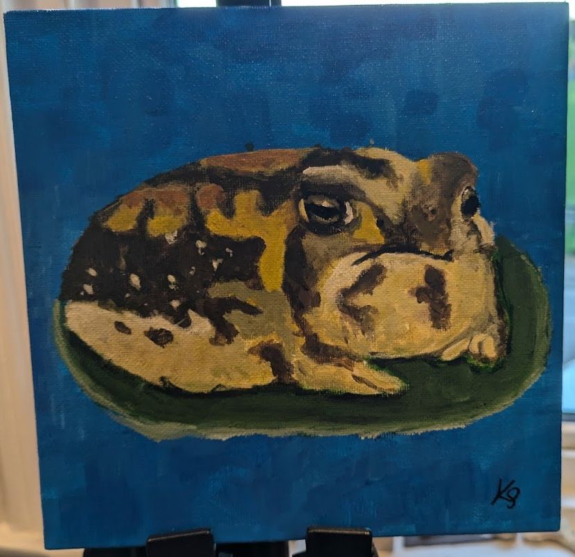 Acrylic painting of a rain frog on a lily pad