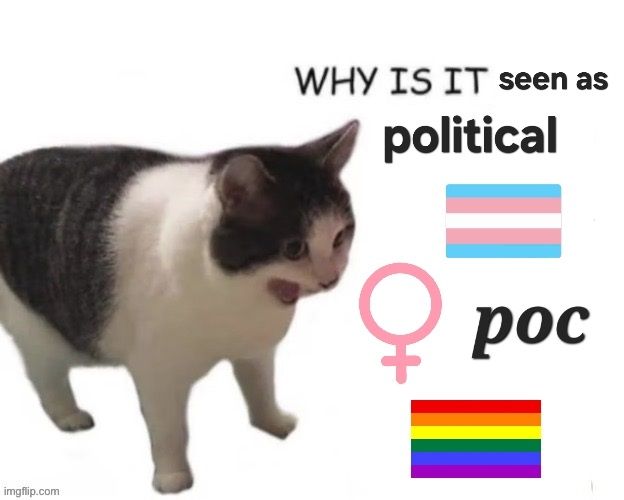 And imagine of a cat screaming "why is it seen as political" at the Trans flag, a symbol repenting woman, poc, and the rainbow flag. The cat is mad that the mere depiction of those things are often seen as "political". Sorry if thid the alt text isn't that good
