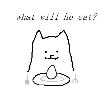 Toby fox with egg (boiled) on a dinner plate