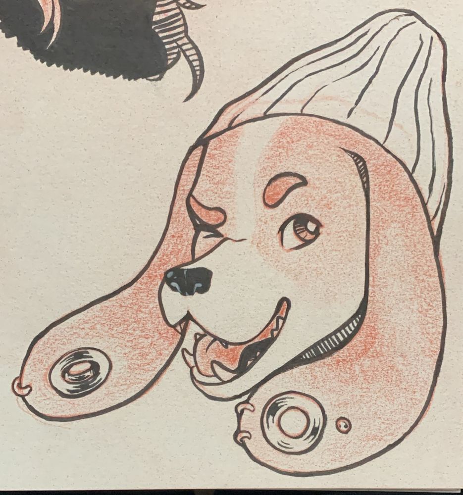 Gay ass basset hound