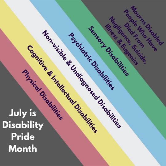 July is Disability Pride Month. Included are physical disabilities, Cognitive and Intellectual Disabilities, Non-Visible and Undiagnosed Disabilities, Psychiatric Disabilities, and Mourn Disabled People Who Have Died From Negligence, Suicide, Illness, and Eugenics.