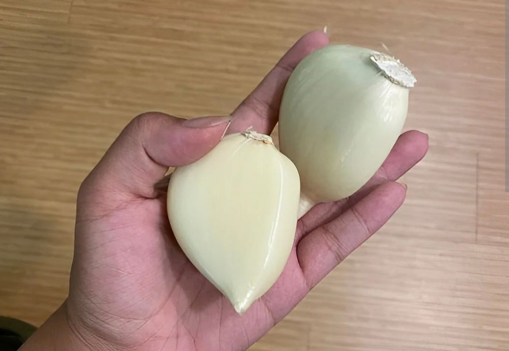 Hand holding two enormous cloves of garlic (multiple ounces apiece)