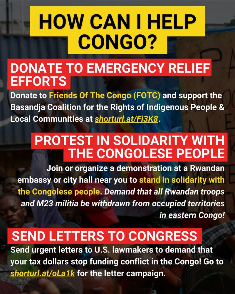 
The background is an image of Congolese men protesting in Kinshasa, the capital of the Democratic Republic of Congo. The man in the center has a megaphone in hand and is wrapped in a DRC flag. A handmade sign next to him reads in both French and English: "Paul Kagame - Friend to the Westerners Who Kill in the East of the DRC". At the top of the page large black capital letters against a yellow background read "How Can I Help Congo?". Below a subheading in white text against a red background reads "Donate to Emergency Relief Efforts". Underneath the subheading, white text reads "Donate to Friends of the Congo (FOTC) and support the Basandja Coalition for the Rights of Indigenous People & Local Communities at shorturl.at/Fi3K8." The phrases "Friends of the Congo (FOTC)" and "shorturl.at/Fi3K8" are highlighted in yellow. Below is another subheading in large white text against a red background reading "Protest in Solidarity with the Congolese People". Underneath in white text is the following: "Join or organize a demonstration at a Rwandan embassy or city hall near you to stand in solidarity with the Congolese people. Demand that all Rwandan troops and M23 militia be withdrawn from occupied territories in eastern Congo!" The phrase "Stand in solidarity with the Congolese people" is highlighted in yellow, and the call to "Demand that all Rwandan troops and M23 militia be withdrawn from occupied territories in eastern Congo" is italicized. The last subheading at the bottom of the page reads in white text: "Send urgent letters to U.S. lawmakers to demand that your tax dollars stop funding conflict in the Congo! Go to shorturl.at/oLa1k for the letter campaign." The phrase "shorturl.at/oLa1k" is highlighted in yellow.