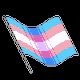 a GIF of the trans pride flag waving! :3