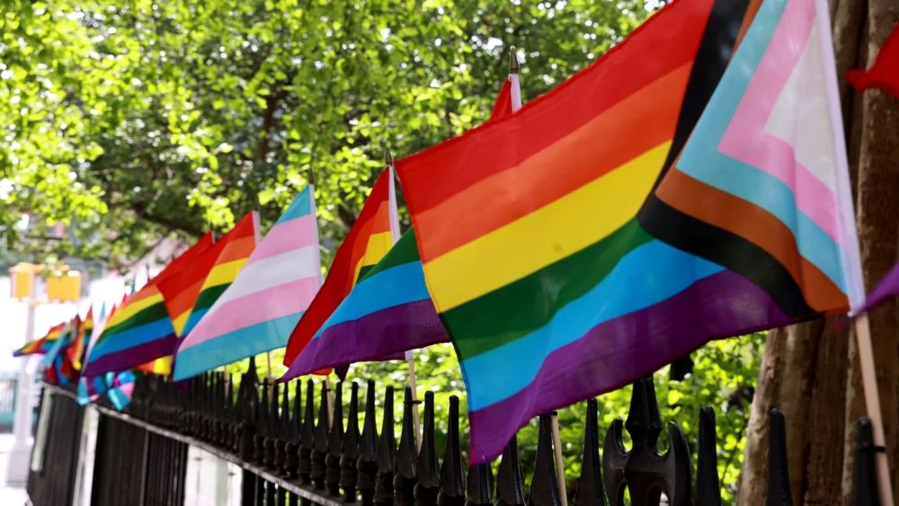 A fence lined with various pride flags, including the Progress Pride Flag and the Trans Pride Flag