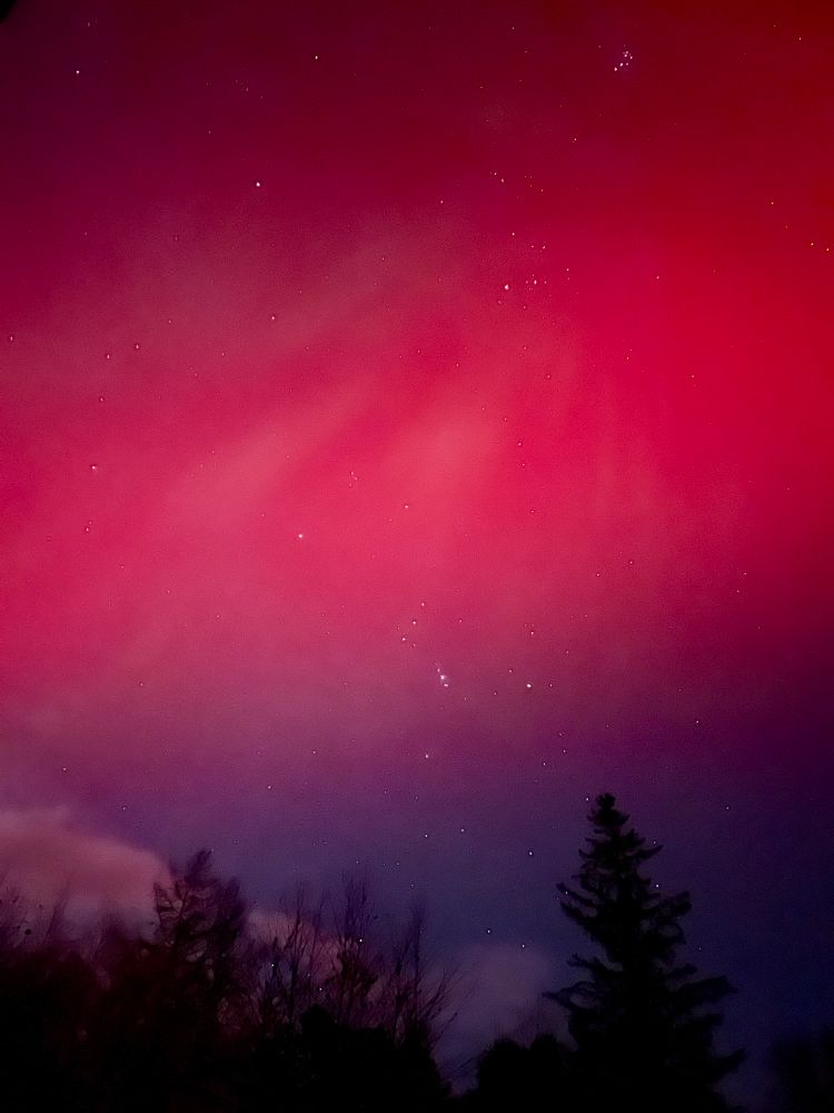 Aurora on 11/11/2025 in Midcoast Maine