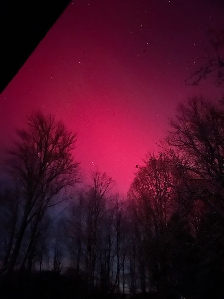 Aurora on 11/11/2025 in Midcoast Maine
