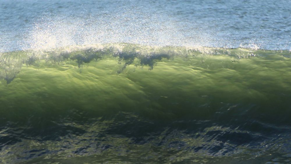 sunshine on the blue sea breaks luminous greens that crash to boiling foamy whites 