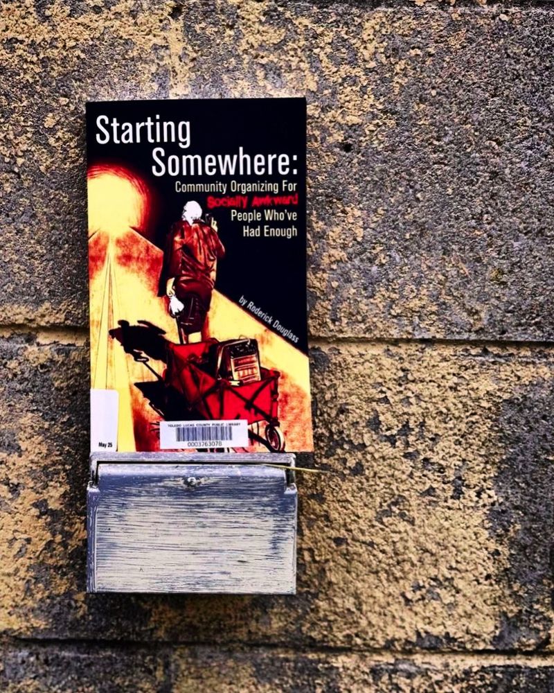 The book "Starting Somewhere: Community Organizing for Socially Awkward People Who've Had Enough."