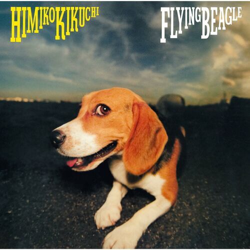 "Flying Beagle" by Himiko Kikuchi