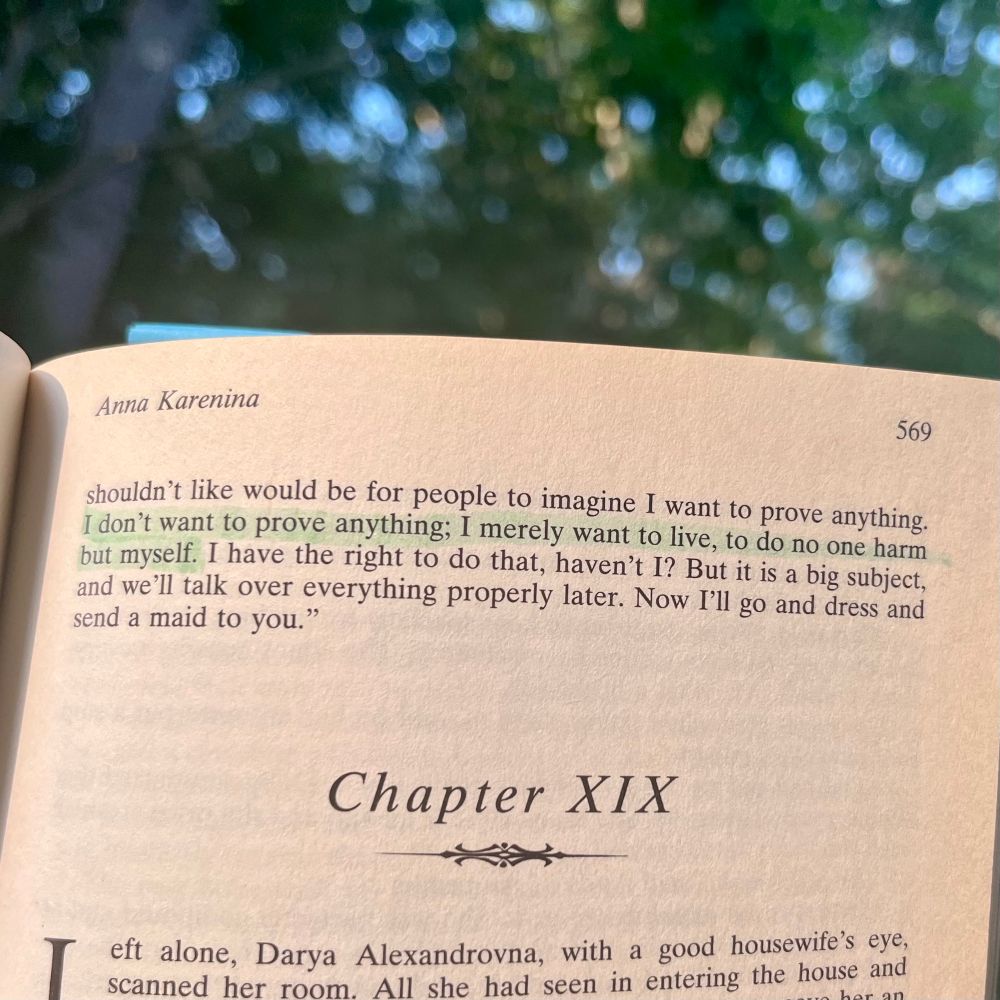 Quote highlighted from the book spoken by Anna, “I don’t want to prove anything; I merely want to live, to do no one harm but myself.” 