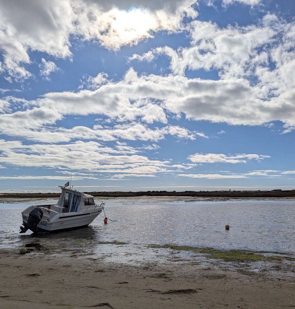 Ship stranded on low tide beach
