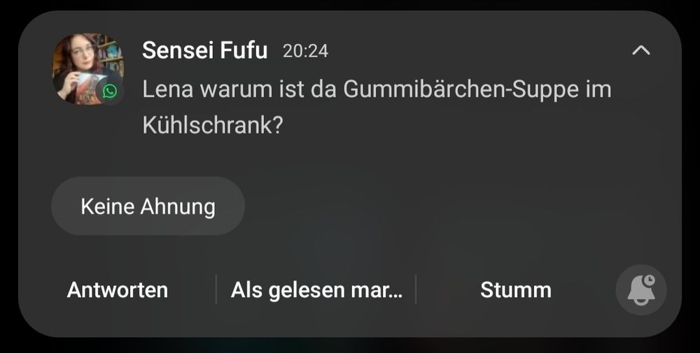 Vorschau Text einer Whatsapp Nachricht meiner Frau die sagt: Lena warum ist da Gummibärchen-Suppe im Kühlschrank. Das Handy schlägt die Antwort "Keine Ahnung" vor.