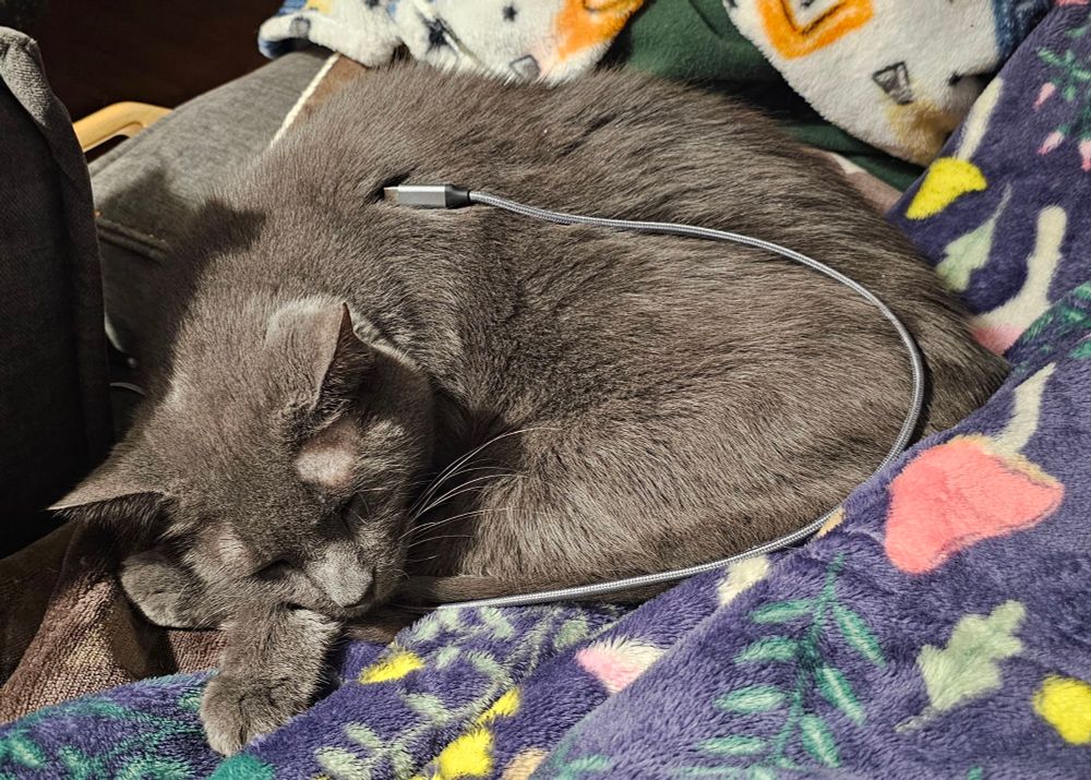 Gray cat curled up sleeping, laying on a couch & phone charger. The phone charger is laid on the cat as if it's charging the cat. 