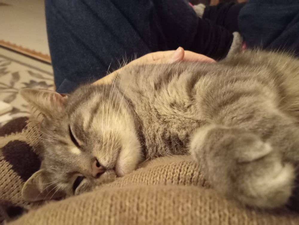 Same but slightly different view