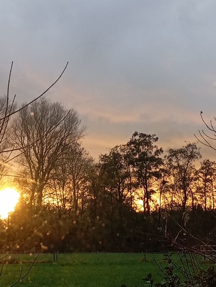 Dirty window, gorgeous sunset. A meadow, a row of trees, dark clouds with a trim of golden sunlight.