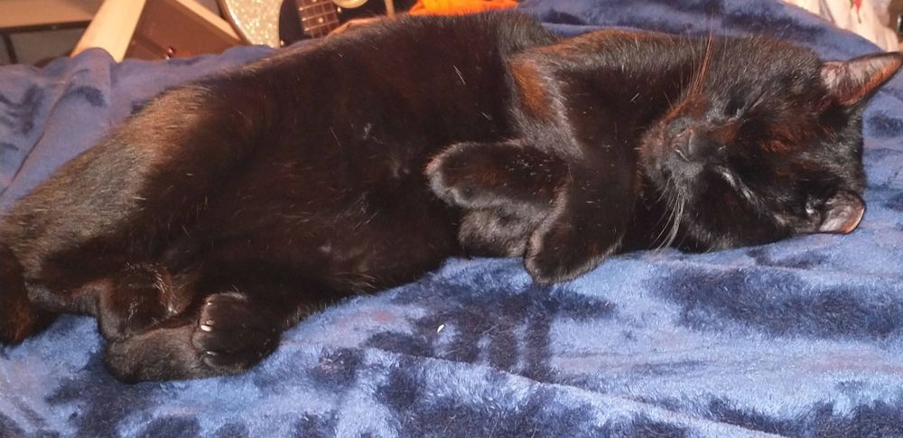 A black cat is sleeping on a soft blue blanket. He is laying on his side and his front legs are crossed daintily. His back paws are curled.