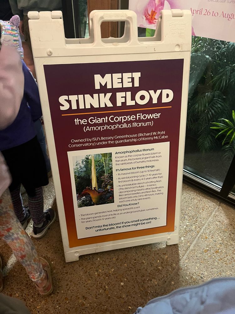 Sign explaining Stink Floyd the Corpse Flower.