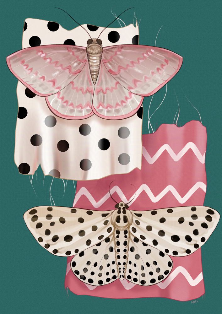 Digital art illustration of two moths sitting with wings spread on top of two slightly ragged pieces of fabric. The topmost moth is pink with a zig-zag pattern on its wings, and its sitting on a white piece of fabric with black spots. The second moth is white with black spots, and it is sitting on a pink piece of fabric with white zig-zag stripes.