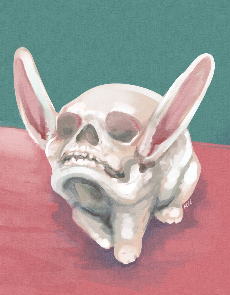 Digital painting of a white rabbit with large ears and a human skull looking upwards as its body instead of a normal rabbit body and head. It is sitting on a pink table with a teal wall behind it.