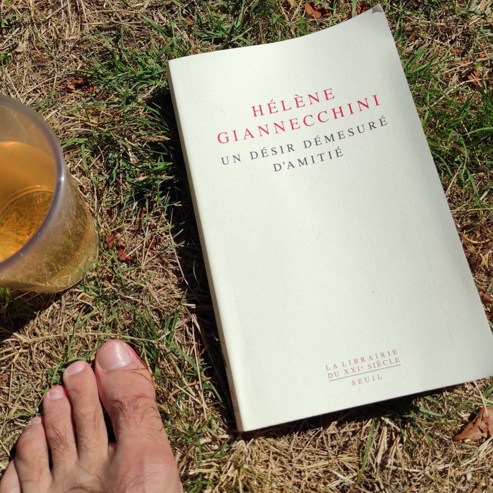 Photo de l'ouvrage "Un désir démesuré d'amitié" d'Hélène Giannecchini posé dans l'herbe, est visible sur l'image un morceau de mon pied nu et un gobelet de thé.
