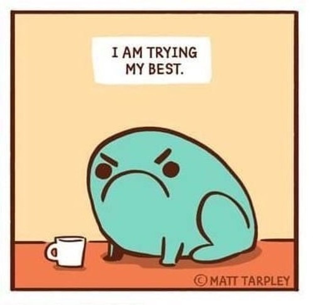 A cartoon of an angry frog sitting in front of a tiny coffee mug, captioned "I am trying my best."