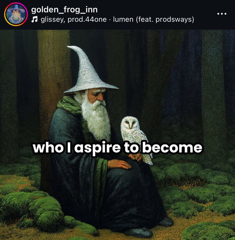 A wizard sits in a forest with an owl