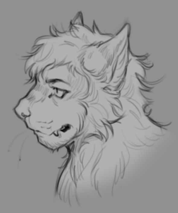 profile sketch of a half-human half-wolf hybrid looking to the side.