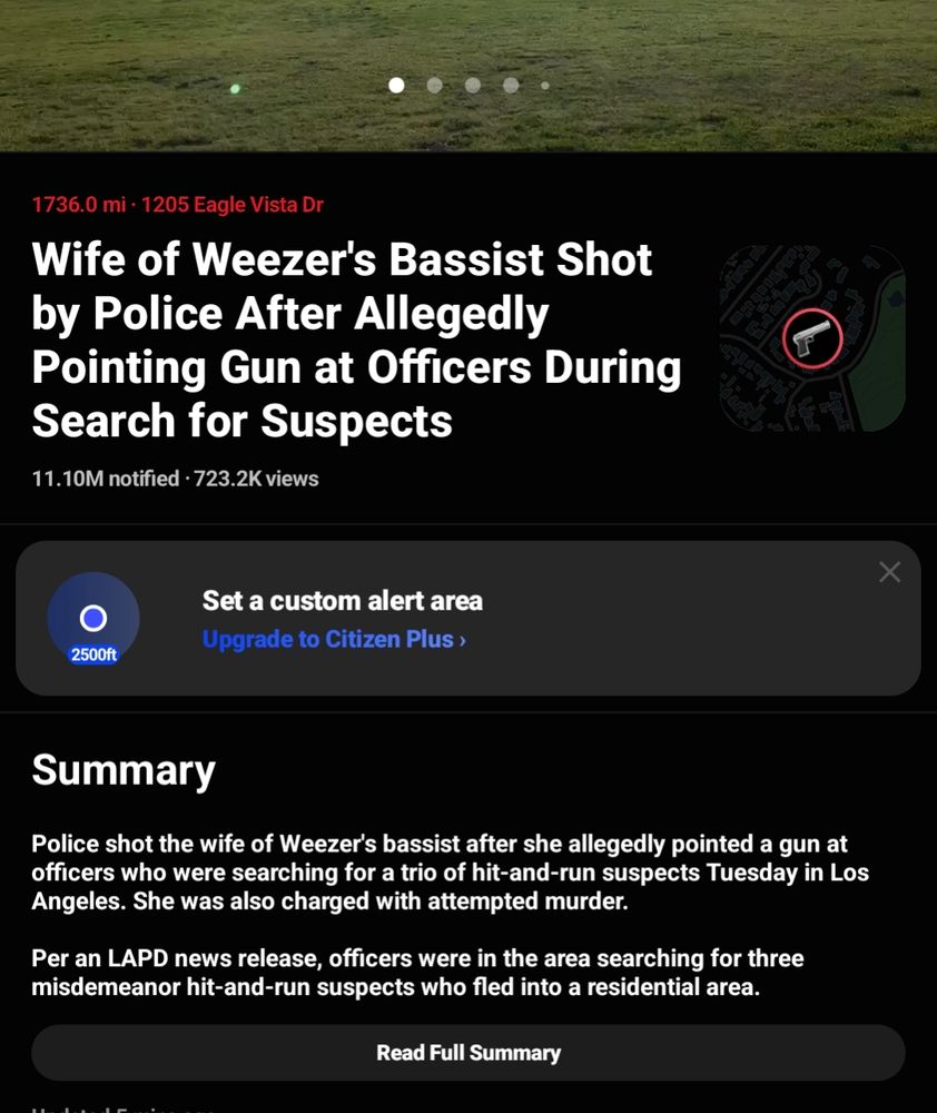 Wife of Weezer's Bassist shot by Police after allegedly Pointing Gun at Officers.