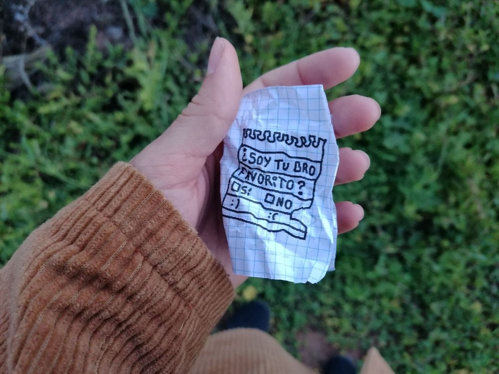 Bola desenredada, pone "¿Soy tu bro favorito? Si o no"