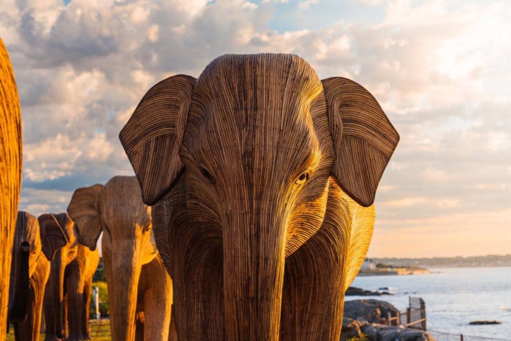 Great Elephant Migration Across America Begins In Newport, Rhode Island