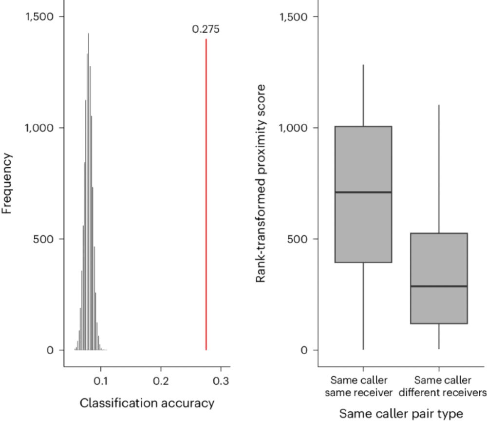 African elephants address one another with individually specific name-like calls - Nature Ecology & Evolution