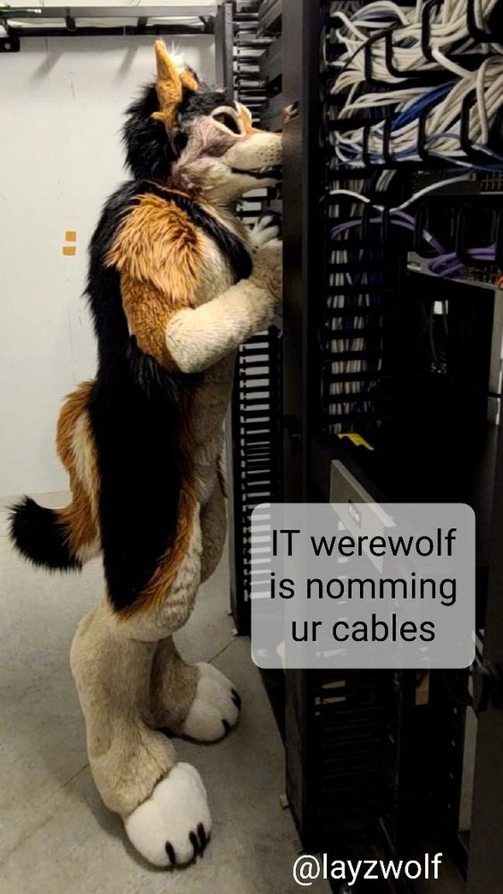 IT werewolf is nomming ur cables