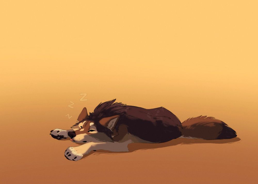 Lazywolf making zzzs
