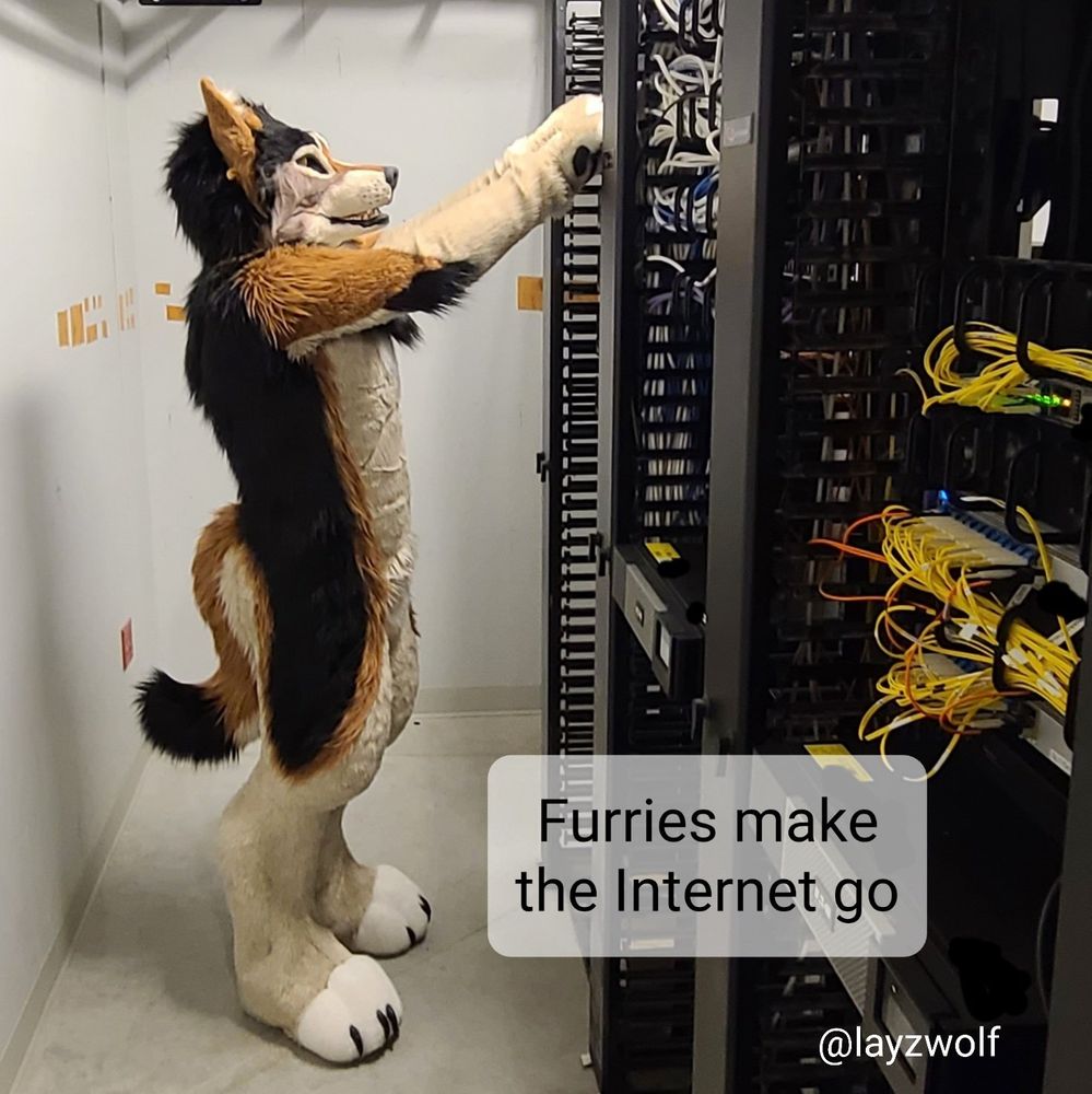 Furries make the Internet go