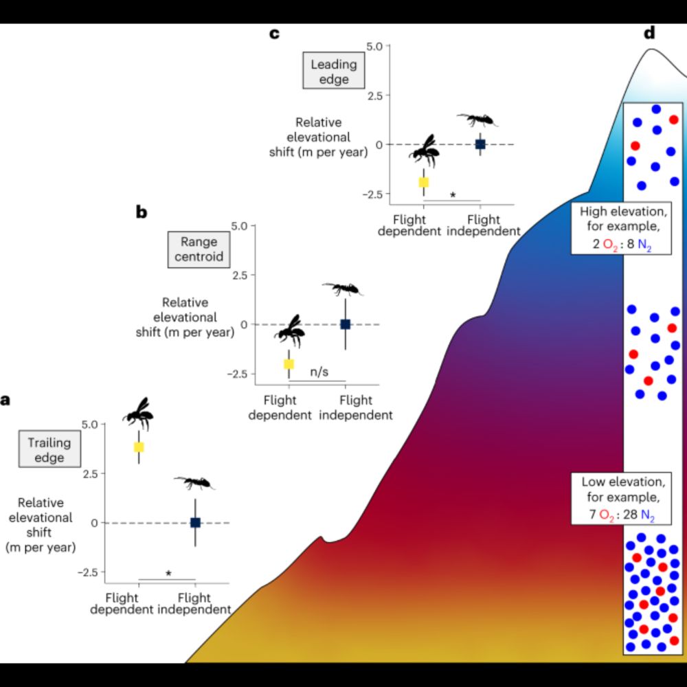 Upslope migration is slower in insects that depend on metabolically demanding flight - Nature Climat...