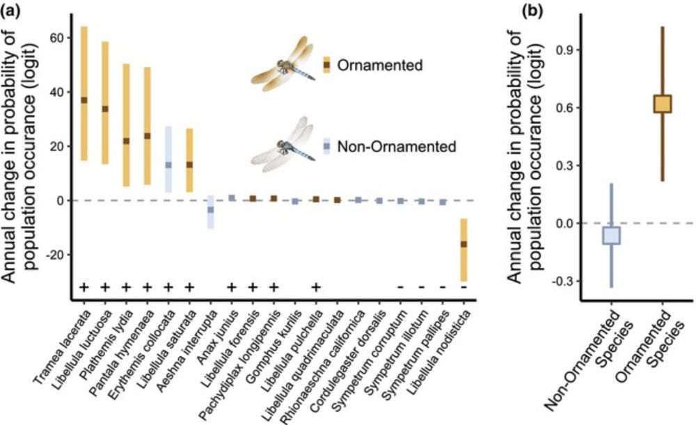 Human‐modified habitats imperil ornamented dragonflies less than their non‐ornamented counterparts at local, regional, and continental scales