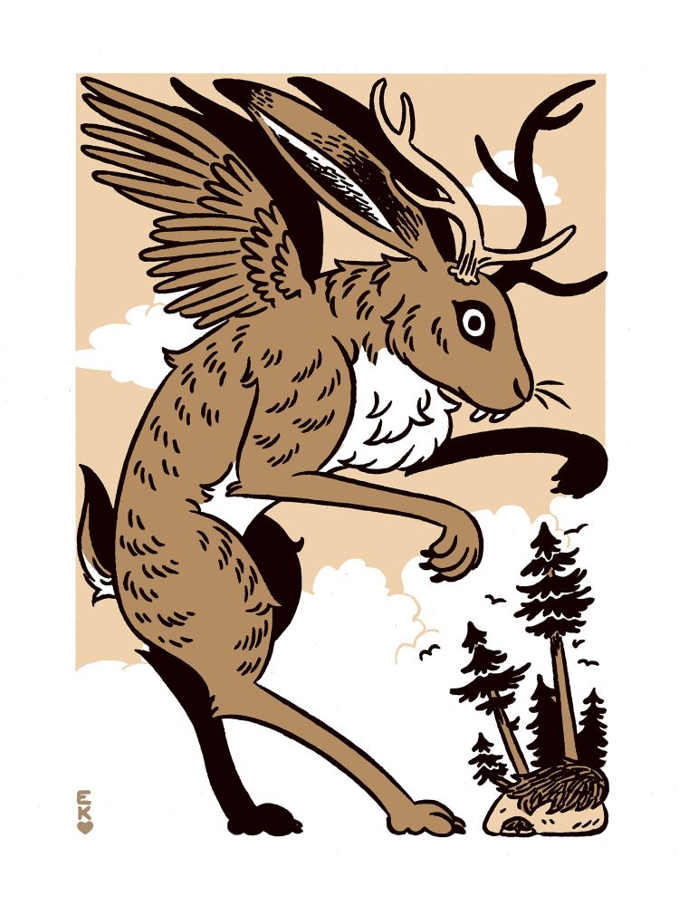 A two tone pen and ink image of a Wolpertinger; a German folk creature that’s part rabbit, part stag, and part bird