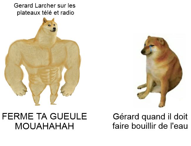 Meme avec un chien musclé et un petit chien qui pleure.
Le balaise dit "ferme ta gueule" , le petit pleure car il ne sais pas faire bouillir de l'eau seul.